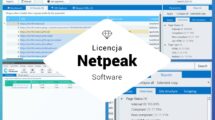 licencja netpeak software